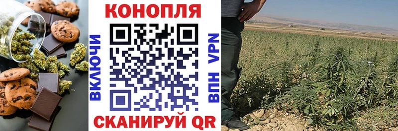 Cannafood конопля  кракен зеркало  Питкяранта  сколько стоит 