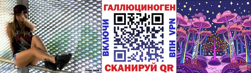 где можно купить наркотик  маркетплейс наркотические препараты  Галлюциногенные грибы Psilocybe  Питкяранта 